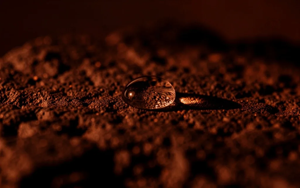 Dark stone surface detail